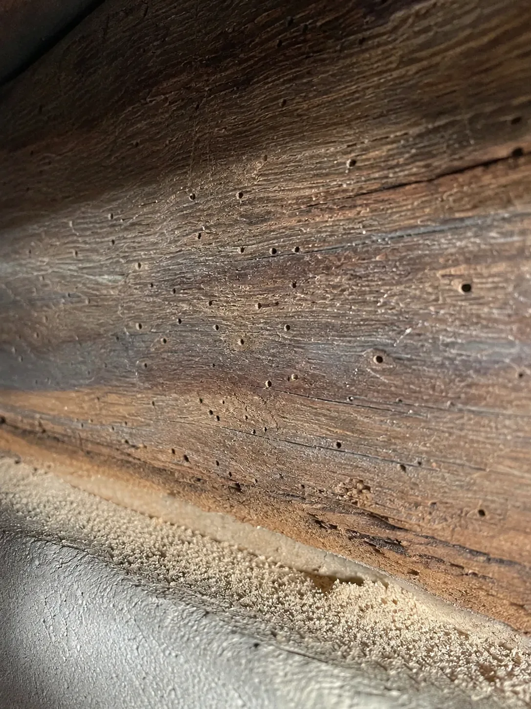 Orificios de carcoma en una viga de madera