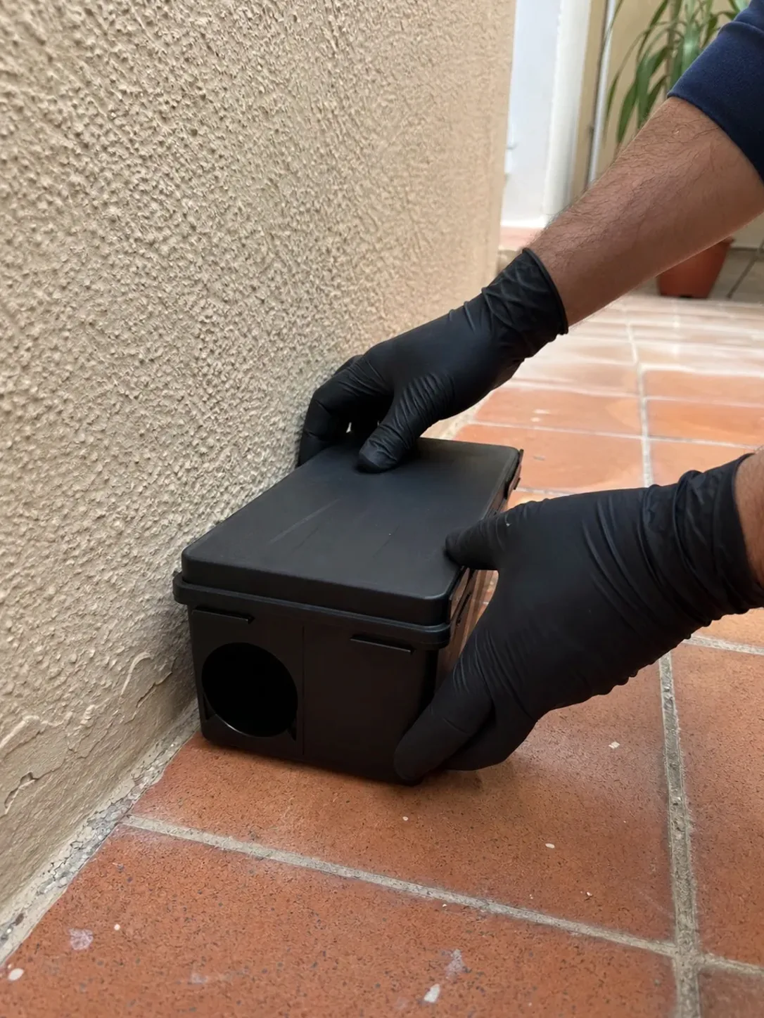 Instalación de un portacebos de seguridad para roedores