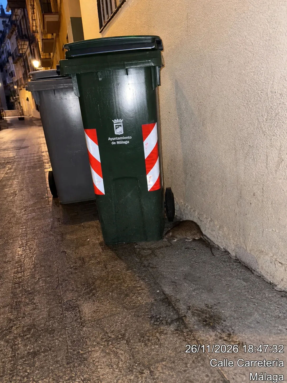 Tratamiento de ratas en Llinars del Vallès — LlinarsPlagas